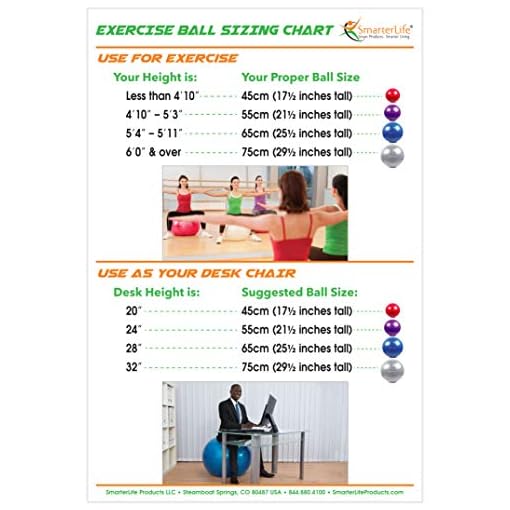 SmarterLife Workout Exercise Ball for Fitness, Yoga, Balance, Stability, or Birthing, Great as Yoga Ball Chair for… - Image 7