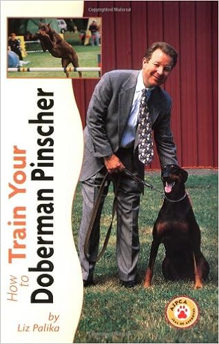 How to Train Your Doberman Pinscher (Tr-107) �n�[�h�J�o�[ - 1998/11/1