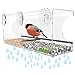 Yardly Noticed Window Bird Feeder with Removable Tray, Drain Holes, Extended Perch, 4 Suction Cups - Crystal Clear See Through Design 2017 - See Wild Birds Up Close, Great for Kids & Cats