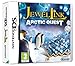 Jewel Link: Arctic Quest DS game