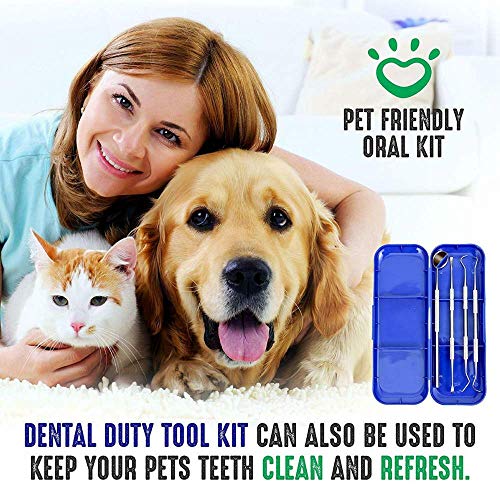 4 Dental+Duty+Hygiene+Calculus+Stainless