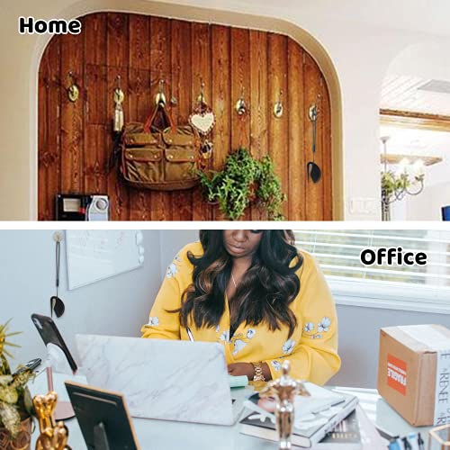 MUXGOA 5 Different Colors Letter Openers,Envelope Opener Plastic Mail Opener with Blade Paper Knife with 5 Different Colors Key Chain Assecories