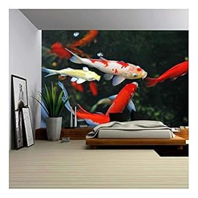 Koi Carps Swimming in The Pond - Removable Wall Mural | Self-Adhesive Large Wallpaper - 66x96 inches