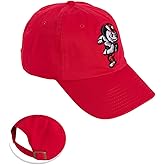 Desert Cactus Ohio State University Baseball Hat OSU Buckeyes Brimmed Embroidered Cap Adjustable Cloth Strap Adult Type B