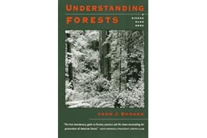 Understanding Forests