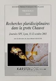 Recherches pluridisciplinaires dans la grotte Chauvet