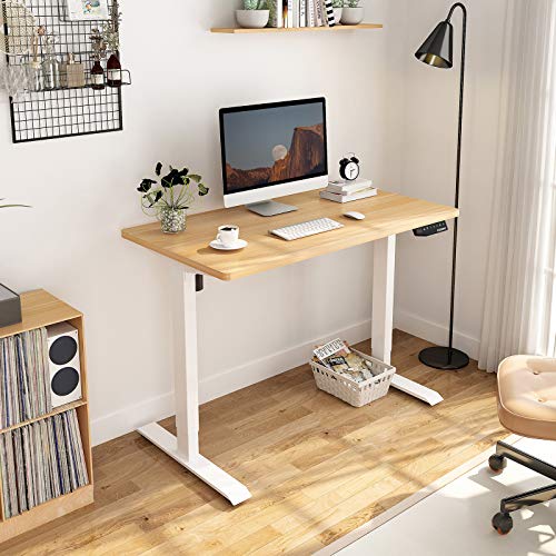 Flexispot EN1 Adjustable Height Electric Standing Desk, 48 x 30 Inches