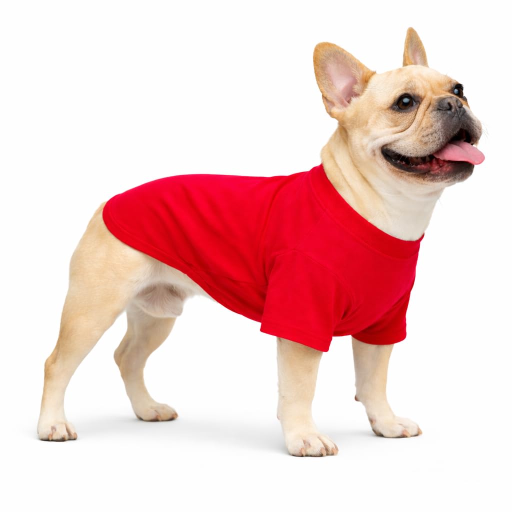 Lovelonglong Bulldog Clothes Dog Clothing Blank T-Shirt Tee Shirts for French Bulldog English Bulldog American Pit Bull Pugs 100% Cotton Skin Care Red B-M