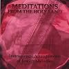 Meditations From the Holy Land by Tal Skloot [CD]