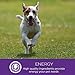 Wellness Pure Rewards Natural Grain Free Dog Treats, Chicken & Lamb Jerky, 6-Ounce Bag