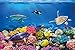 GREAT ART Children’s Room Poster – Aquarium – Mural Decoration Underwater World Sea Dweller Ocean Fishes Dolphin Turtle Coral Reef Wallposter Photoposter Wall Decor (55 x 39.4 Inch / 140 x 100 cm)