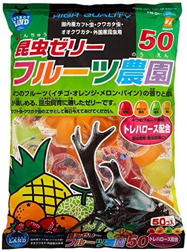 インセクトランド 昆虫ゼリー 16g×50 FN-500 フルーツ農園50