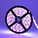 YGS-Tech Super Bright 24 Watts UV Black Light LED Strip, 16.4FT/5M 3528 300LEDs 395nm-405nm Waterproof IP65 Blacklight Night Fishing implicitly Party with Power Supply