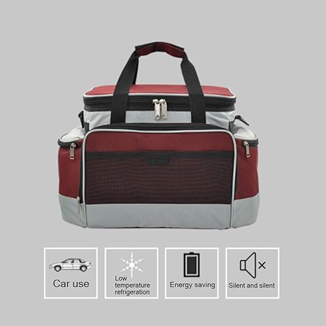 CZBXO - Mini Nevera para Coche, 13 L, pequeña residencia, tensión ...