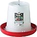 Little Giant® Plastic Hanging Poultry Feeder | Heavy Duty Automatic Feed Container for Poultry (Red, 11 Pound)