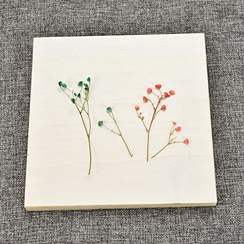 AQUEENLY 6 Pcs 8'' x 8'' Unfinished Wood Cradled Painting Panel Boards for Arts & Craft - Wooden Canvas Panels