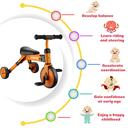 6 Avenor+Baby+Tricycle+Tricycles+Perfect