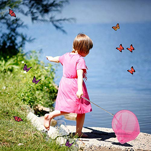 4 Telescopic+Butterfly+Fishing+Catching+Extendable