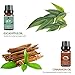 Lagunamoon Tea Tree Essential Oil - Aromatherapy Pure Essential Oils for Diffuser, Humidifier, Massage, Aromatherapy, Skin & Hair Care