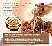 K-Herb Soybean Natto Powder 100% Natural Nattokinase Freeze-Dried Fermented Food Vitamin K2 10.6 oz(300g) (2 Pack)