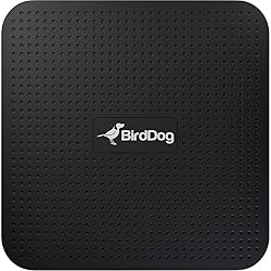 BirdDog Play 4K NDI Player Bundle with Pearstone
