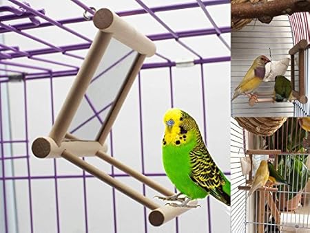 amazon com old tjikko bird swing parrot cage toys swing hanging play with mirror for macaw african greys parakeet cockatoo cockatiel conure lovebirds canaries 1 pc 3 7x3 5 x3 5inch pet supplies