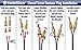 InstallGear 100ft 14 Gauge Speaker Wire with 12 Banana Plugs - Copper Clad Aluminum Cable for Clear Audio Sound - Easy-Install Car Speaker Wire and Home Theater Setup with Blue Black Jacket