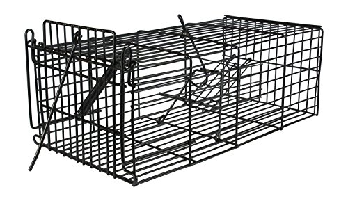 Grandpa Gus's Humane Squirrel Rat Chipmunk Trap Cage - Live 2-Door Multi Catch