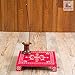 Rusticity® Wooden Pooja Chowki/Altar Table | Handmade | (8x8x1.2 in)