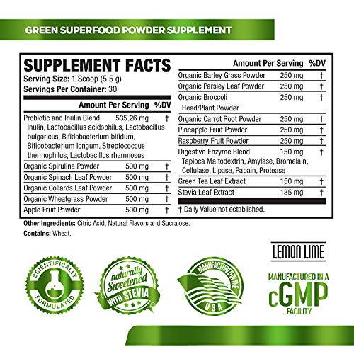 Green Surge Green Superfood Powder Supplement Keto Friendly Greens