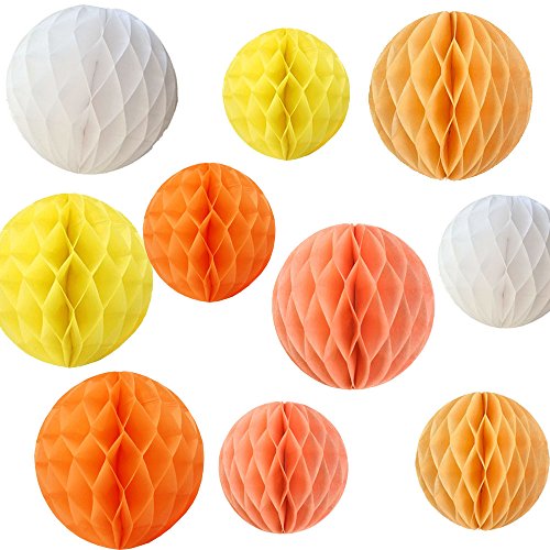 Daily Mall 10pcs 8 inch 10 inch Honeycomb Balls Party Pom Poms Tissue Paper Honeycomb Balls Birthday Balls Decoration Wedding Partners Design Craft Hanging Pom-Pom Ball Home Nursery Decor (Style-1)