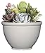 Classic Home and Garden Bellina Planter, 8