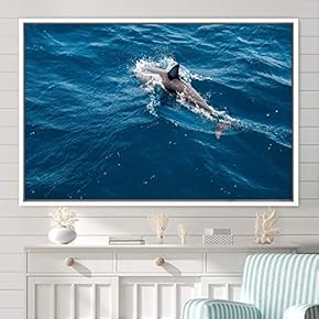 signwin Framed Canvas Wall Art Swimming Free Cool...