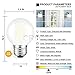 CRLight 6W Dimmable LED Globe Bulb 4000K Daylight White, 60W Equivalent 600 Lumens, E26 Base Edison Style G16 Globe Frosted Glass Ceiling Fan Bathroom Vanity LED Filament Light Bulbs, 6 Pack