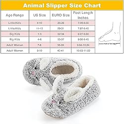 Cozylook Cute Animal Slippers for Women and