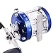 Isafish Baitcasting Reels Conventional Inshore and Offshore Saltwater and Freshwater Fishing Reels Baitcaster Blue Color
