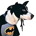 DC Comics Superheroes: Batman Pet Costume for Dogs or Cats by Rubies, Large
