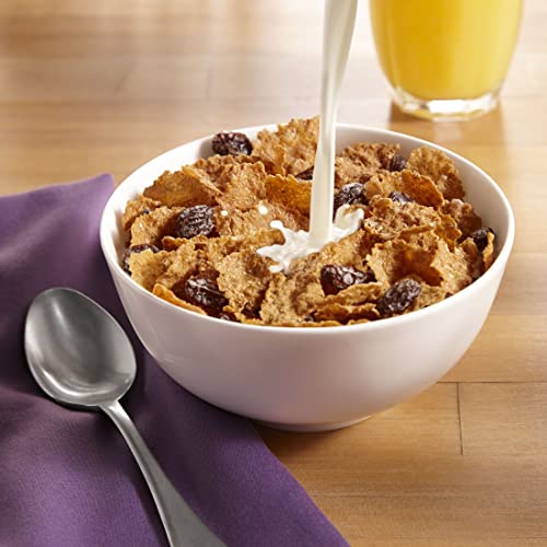 KELLOGG’S RAISIN BRAN, BREAKFAST CEREAL, ORIGINAL, 1.52OZ