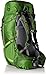 Osprey Men's Atmos 65 AG Backpacks