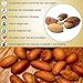 0.5 LBs Bitter Kola Nuts 100% Natural Garcinia Kola Non GMO Herbal Organic African Cola Nut bitter kolanuts (0.5 LBs)
