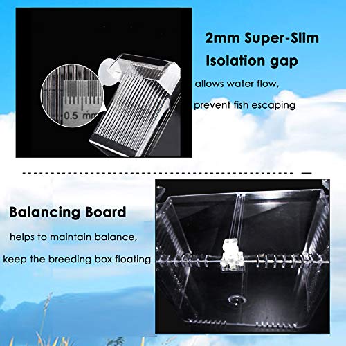 5 Capetsma+Isolation+Acclimation+Incubator+Clownfish