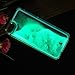 Appmax Cool Liquid Case Special Luminous Powder Glow in the Dark Quicksand Liquid Transparent Hard Phone Case for Iphone 5/iphone 5s (Blue)