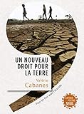 Un nouveau droit pour la Terre : Pour en finir avec l'écocide by