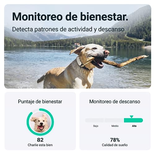 Tractive GPS Tracker for Dogs Waterproof, GPS Location & Smart Pet