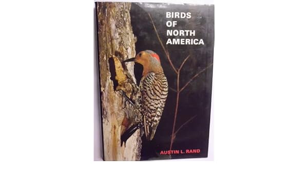 Birds Of North America By Austin L Rand Illustrator Including 66