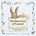 THE ADVENTURES OF FUZZYTAIL by ANITA GERTRUDE ROESCH PLUTTE, JOY COGNATA