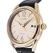 Citizen FE6083-13P Black Rose-Gold Stainless Steel Women's Watch