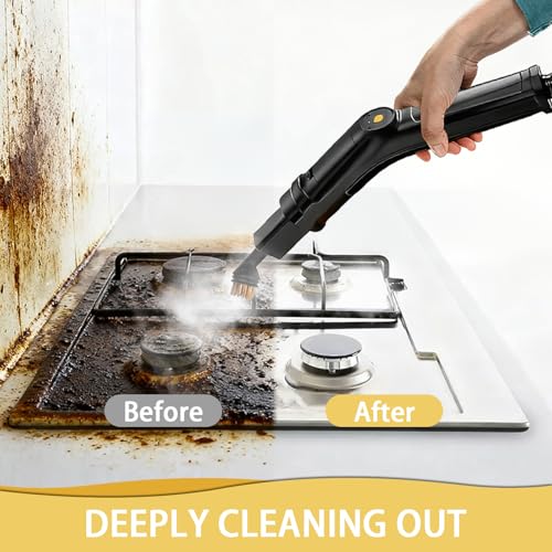 Portable Steam Cleaner, 2500W Powerful Steam Cleaner for Home, 3 Adjustable Speeds, 17 Accessories, 1600 ml Water Tank, 4 Bar Pressure, for Kitchen, Windows, Floors, Cars