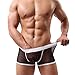 HP95(TM) Men's Bikini Underwear, Low Waist Mesh Transparent Sexy Boxers Bulge Comfy Shorts Underpants Underwear (L, D)