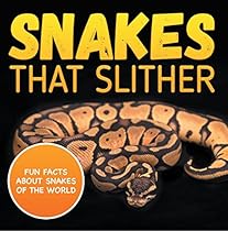 1st Grade Computer Basics : The Computer and Its Parts: Computers for Kids First Grade (Children's Computer Hardware Books)